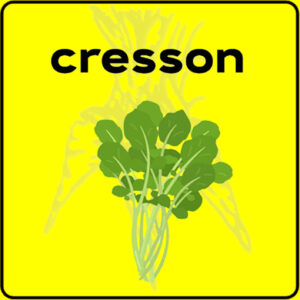 Filet de protection très solide en 10 mètres de large.