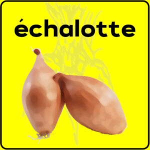 Filet de protection très solide en 10 mètres de large.