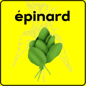 Filet de protection très solide en 10 mètres de large.