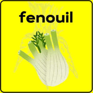 Filet de protection très solide en 10 mètres de large.