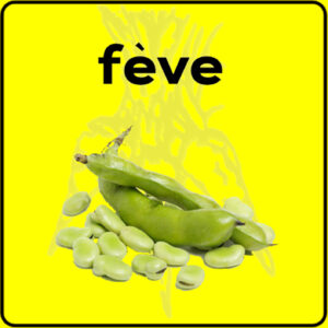 Filet de protection très solide en 10 mètres de large.