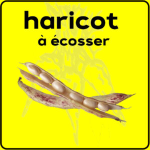 Filet de protection très solide en 10 mètres de large.