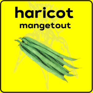 Filet de protection très solide en 10 mètres de large.