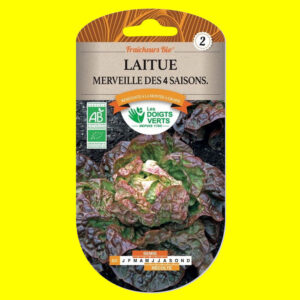 Laitue Merveille 4 Saisons Bio Laitue pommée d'été - Merveille de 4 saisons (bio) (3gr)