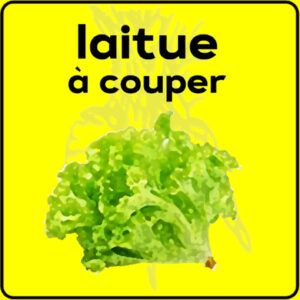 Filet de protection très solide en 10 mètres de large.