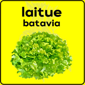 Filet de protection très solide en 10 mètres de large.