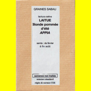 Laitue blonde pommée d'été Appia copie Laitue - APPIA (Blonde Pommée d'été)