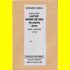 Laitue-de-pleine-terre-Rein Laitue - REINE DE MAI (de plein terre)