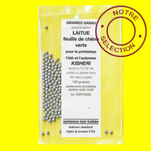 Laitue feuille de chene Kisheri Laitue feuille de chêne - KISHERY