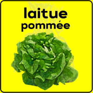 Filet de protection très solide en 10 mètres de large.