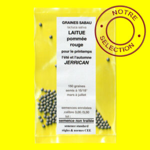 Laitue pommée rouge Jerrican Laitue rouge - JERRICAN (semences enrobées)