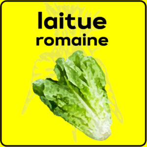 Filet de protection très solide en 10 mètres de large.