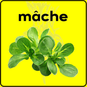 Filet de protection très solide en 10 mètres de large.