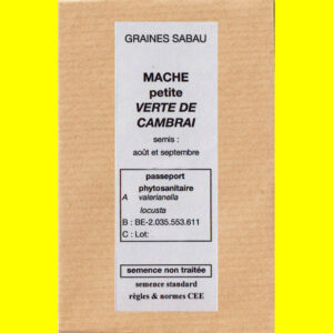 Mâche Verte de Cambrai copie Mâche - VERTE DE CAMBRAIS