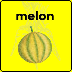 Filet de protection très solide en 10 mètres de large.