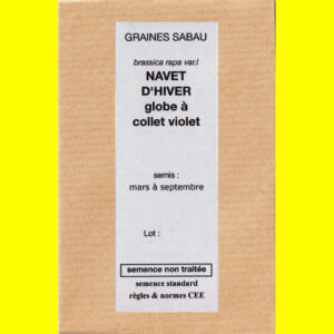Navet d'hiver globe collet violet copie Navet - GLOBE (à collet violet)