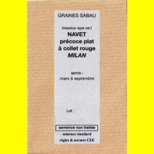 Navet-précoce-plat-Milan-co Navet - MILAN (rouge)