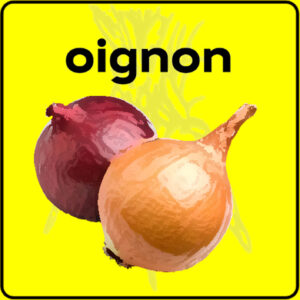 Filet de protection très solide en 10 mètres de large.