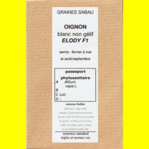 Oignon-Blanc-non-gélif-Elod Oignon blanc - ELODY F1