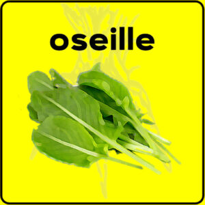 Filet de protection très solide en 10 mètres de large.