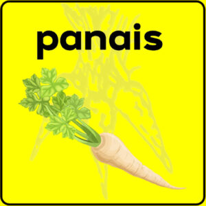 Filet de protection très solide en 10 mètres de large.