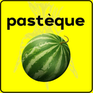 Filet de protection très solide en 10 mètres de large.