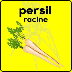 Filet de protection très solide en 10 mètres de large.