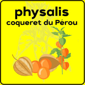 Filet de protection très solide en 10 mètres de large.