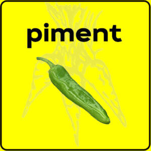 Filet de protection très solide en 10 mètres de large.