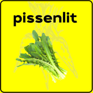 Filet de protection très solide en 10 mètres de large.