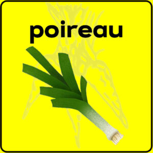 Filet de protection très solide en 10 mètres de large.