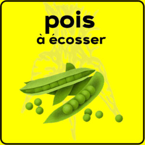 Filet de protection très solide en 10 mètres de large.