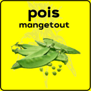 Filet de protection très solide en 10 mètres de large.