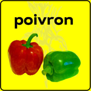 Filet de protection très solide en 10 mètres de large.