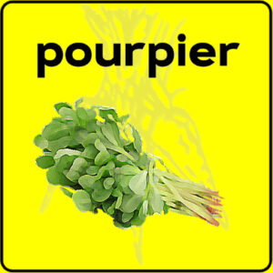 Filet de protection très solide en 10 mètres de large.