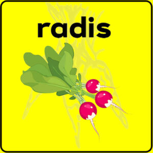 Filet de protection très solide en 10 mètres de large.