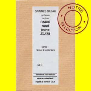 Radis rond jaune Zlata copie Radis rond Jaune - ZLATA