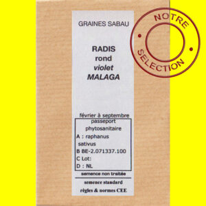 Radis rond violet Malaga copie Radis rond Violet - MALAGA (15gr)