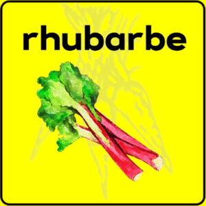 Filet de protection très solide en 10 mètres de large.