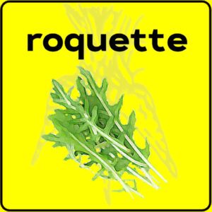 Filet de protection très solide en 10 mètres de large.