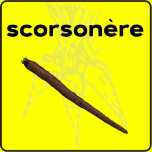 Filet de protection très solide en 10 mètres de large.