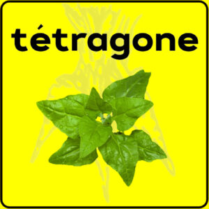 Filet de protection très solide en 10 mètres de large.