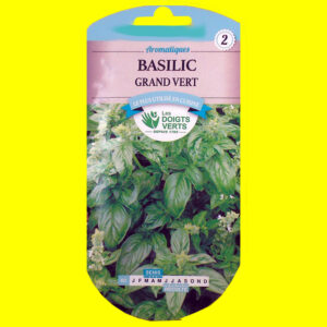 Basilic - Grand vert (4gr)