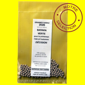 batavia decision copie Laitue batavia verte - TRIATHLON / DECISION (semences enrobées)