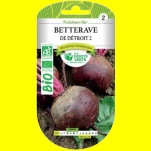 Betterave Potagere - GLOBE DE DETROIT (Bio) (5g)
