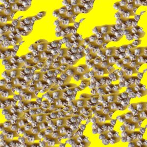Betterave jaune - BOLDOR F1