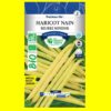 Haricot Mangetout Jaune Nain - MINIDOR (bio) (30 graines)