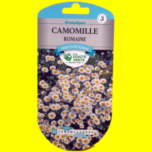 Camomille romaine (0.5gr)
