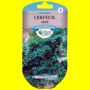 Cerfeuil - FRISE (10gr)