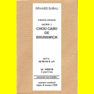 chou-cabu-de-brunswick-copi Chou cabus - BRUNSWICK (blanc)